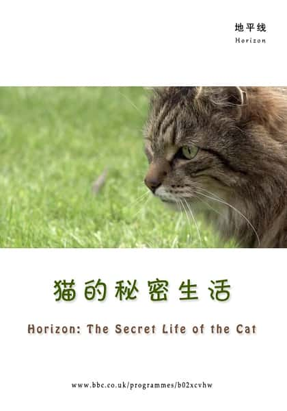 [BBC] è / The Secret Life of the Cat-Ѹ