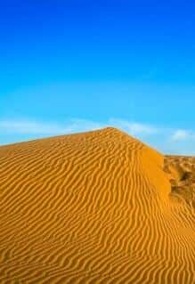 [Discovery] ӡɳĮ / THAR:Indias Great Desert-Ѹ