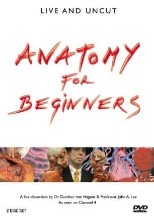 [BBC] ѧ / Anatomy for Beginners-Ѹ