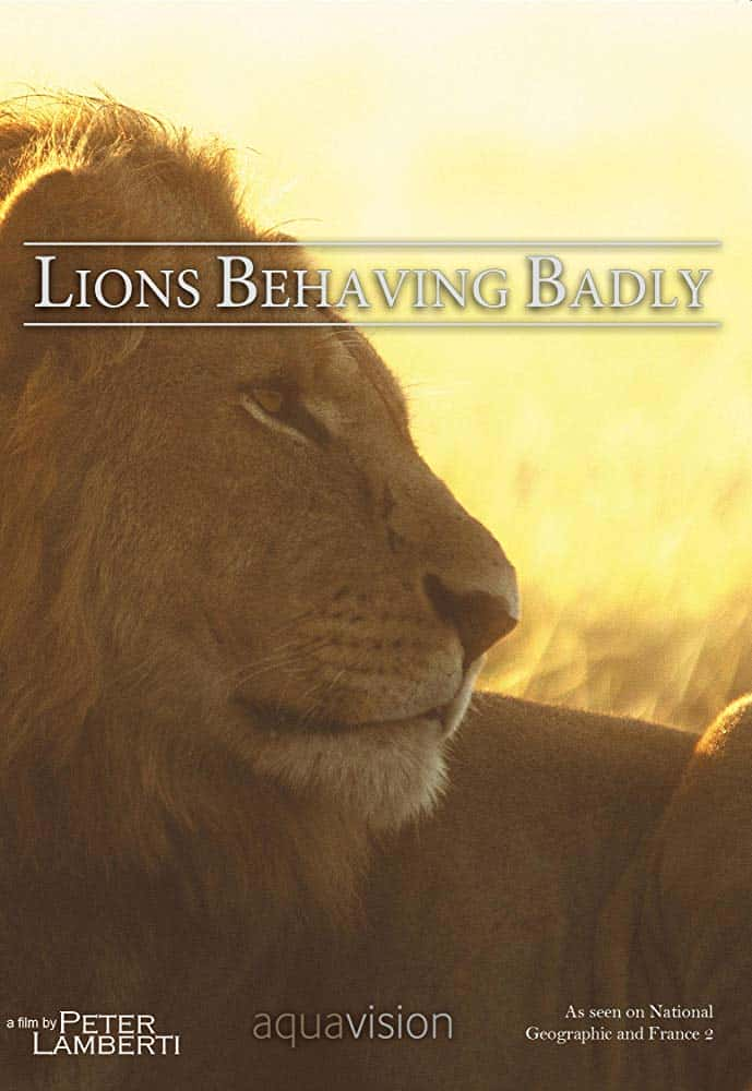 [ҵ] عصʨ / Lions Behaving Badly-Ѹ