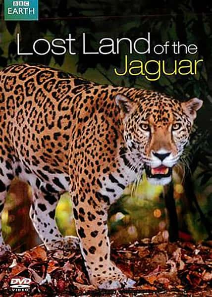 [BBC] ޱʧ֮ / Lost Land of the Jaguar-Ѹ