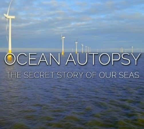 [BBC] ʺǺ / Ocean Autopsy: The Secret Story of Our Seas-Ѹ