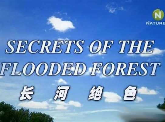 [BBC] ɭֵ / Ӿɫ Secrets of the Flooded Forest-Ѹ