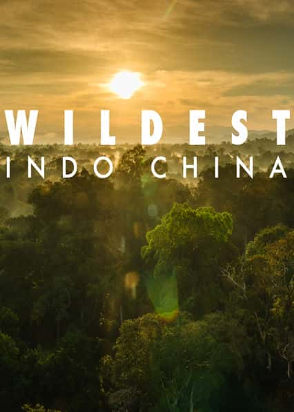 [Discovery] 中南半岛野生大地 / Wildest Indochina-纪录片资源1080P/720P/360P高清标清网盘迅雷下载