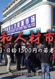 [NHK] 三和人才市场 中国日结1500日元的年轻人们 / 三和 人材市場～中国・日給1500円の若者た-纪录片资源1080P/720P/360P高清标清网盘迅雷下载