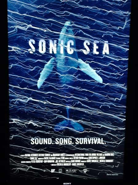 [其他] 噪声海洋 / Sonic Sea-纪录片资源1080P/720P/360P高清标清网盘迅雷下载