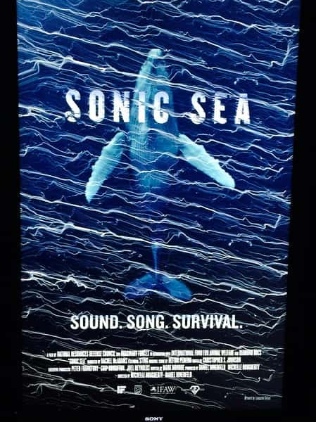 [Discovery] 噪音海洋 / Sonic Sea-纪录片资源1080P/720P/360P高清标清网盘迅雷下载