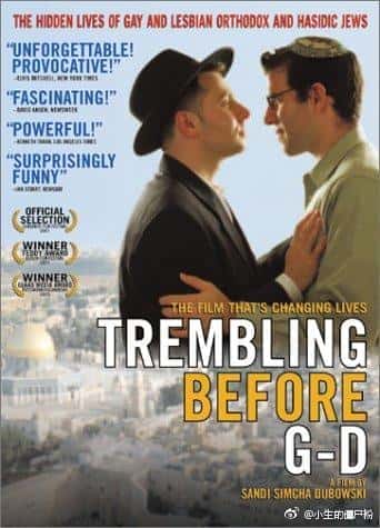 [其他] 在神前战栗 / Trembling Before G-d-纪录片资源1080P/720P/360P高清标清网盘迅雷下载