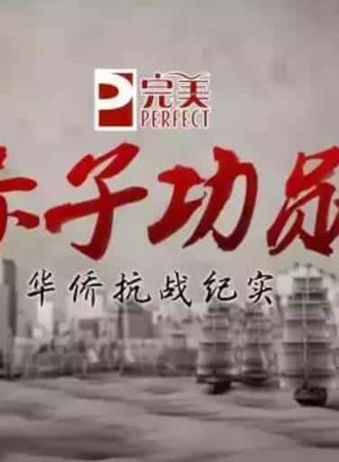 [CCTV] 赤子功勋 / 华侨抗战纪实-纪录片资源1080P/720P/360P高清标清网盘迅雷下载