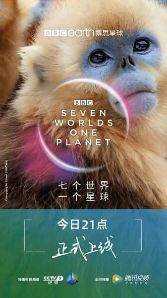 [BBC] 七个世界，一个星球 / Seven Worlds, One Planet -纪录片资源1080P/720P/360P高清标清网盘迅雷下载