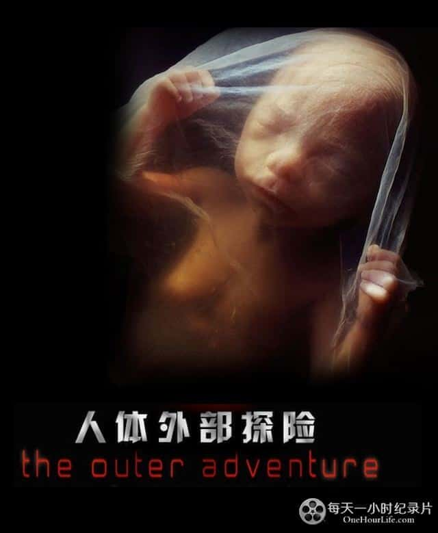 [Discovery] 人体外部探险 / The Outer Adventure-纪录片资源1080P/720P/360P高清标清网盘迅雷下载