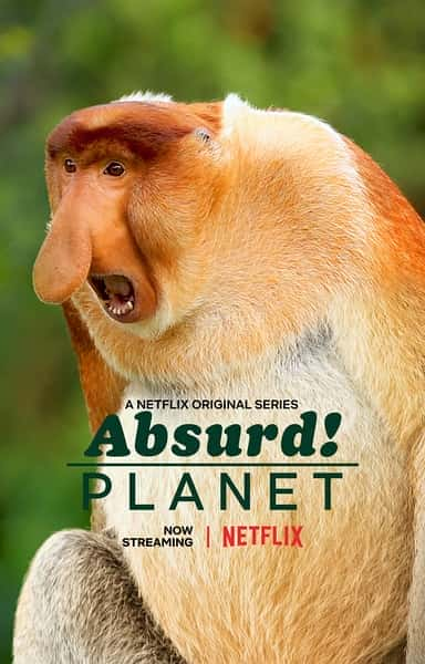 [Netflix] 怪诞星球 / Absurd Planet-纪录片资源1080P/720P/360P高清标清网盘迅雷下载