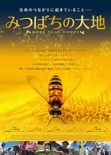 [其他] 采得百花成蜜后 / More Than Honey-纪录片资源1080P/720P/360P高清标清网盘迅雷下载