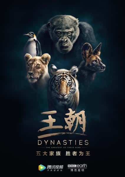 [BBC] 王朝 / Dynasties-纪录片资源1080P/720P/360P高清标清网盘迅雷下载