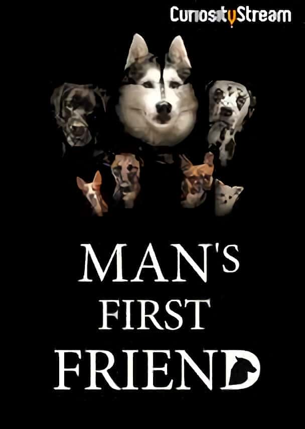 [盗火字幕组] 人类的第一个朋友 / Man's First Friend-纪录片资源1080P/720P/360P高清标清网盘迅雷下载