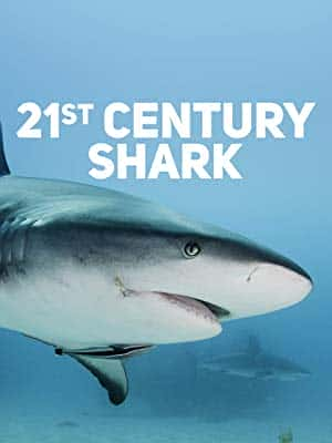 [国家地理] 21世纪鲨鱼 / 21st Century Shark -纪录片资源1080P/720P/360P高清标清网盘迅雷下载