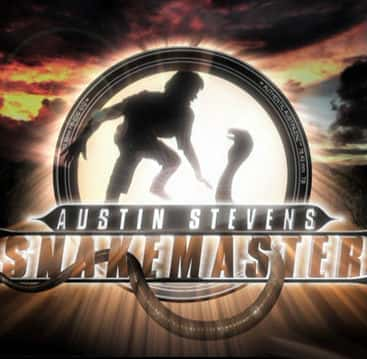 [Discovery] 弄蛇人奥斯汀 / Discovery Austin Stevens Snakemaster-纪录片资源1080P/720P/360P高清标清网盘迅雷下载