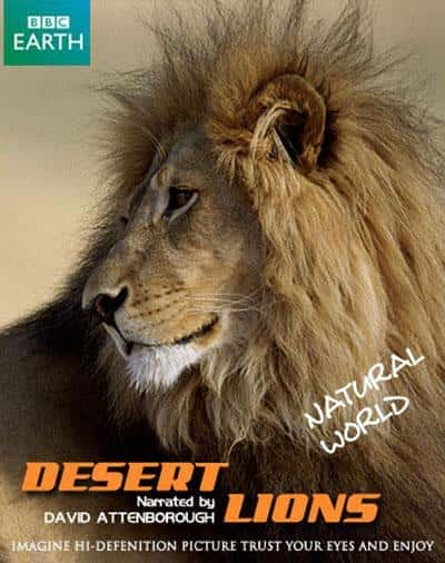 [BBC] 自然世界：沙漠狮 / Natural World: Desert Lions-纪录片资源1080P/720P/360P高清标清网盘迅雷下载