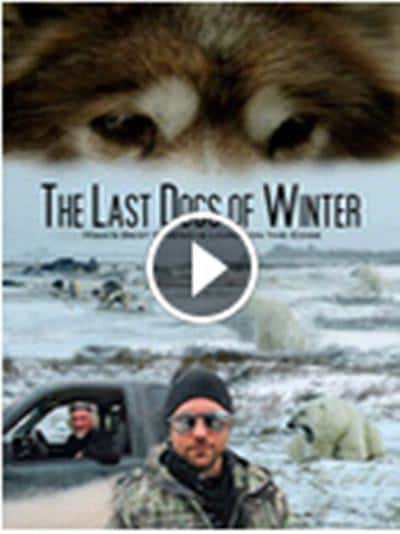 [其他] 濒危的爱斯基摩犬 / The Last Dogs of Winter-纪录片资源1080P/720P/360P高清标清网盘迅雷下载