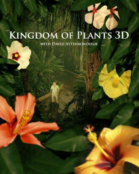 [BBC] ֲ / Kingdom of Plants 3D-Ѹ