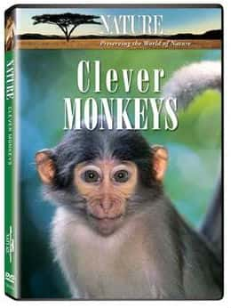 [PBS] ĺ / Nature Clever Monkeys-Ѹ