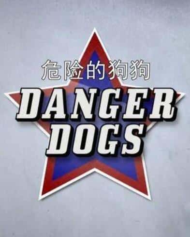 [] ΣյĹ / Danger Dogs-Ѹ