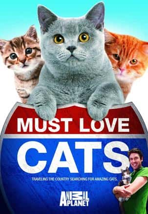 [Discovery] Ϊèտ /  : Must Love Cats-Ѹ