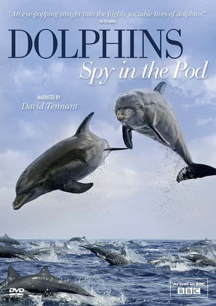 [BBC] Ե׺ / Dolphins - Spy in the Pod-Ѹ