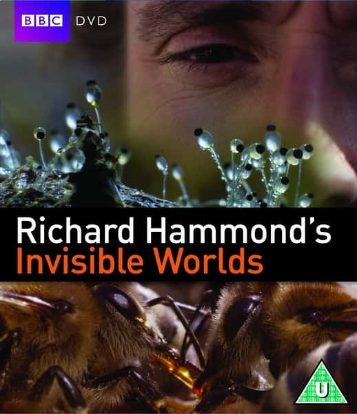 [BBC]  / Richard Hammond's Invisible Worlds-Ѹ