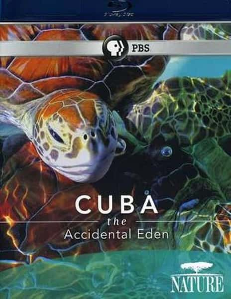 [PBS] Űͣ԰ / Nature Cuba: The Accidental Eden-Ѹ