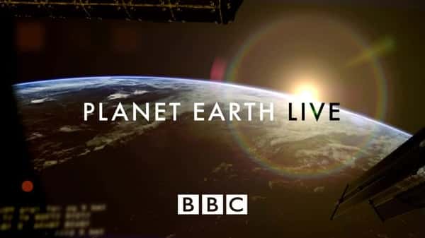 [BBC] ¼ ڶ / Planet Earth Live Season 2-Ѹ