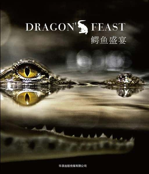 [ҵ] ʢ / Dragon's Feast-Ѹ