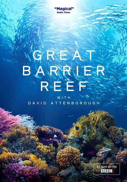 [BBC] ϾүĴ󱤽֮ / Great Barrier Reef with David Attenborough-Ѹ