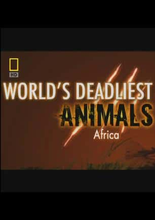 [ҵ] ϵУƪ  / World's Deadliest Animals: Africa-Ѹ