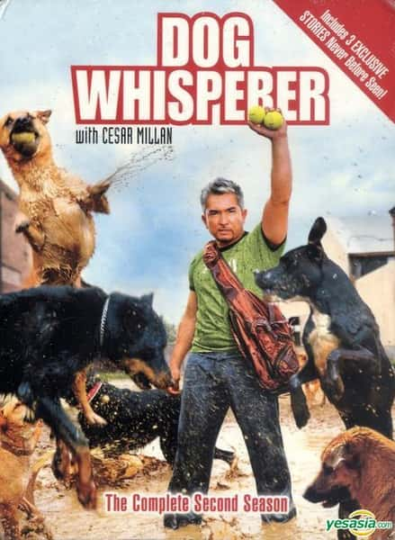 [ҵ]  ѡ / Dog Whisperer with Cesar Millan-Ѹ