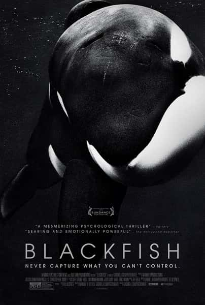 [PBS] ھ / Blackfish-Ѹ