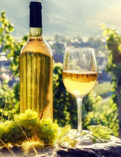 [ҵ] Ѿ֮ã&amp;˹ / Wineroads: Champagne &amp; Alsace-Ѹ