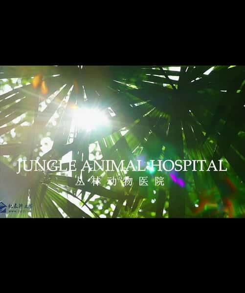 [BBC] Ȼ ֶҽԺ / Jungle Animal Hospital -Ѹ