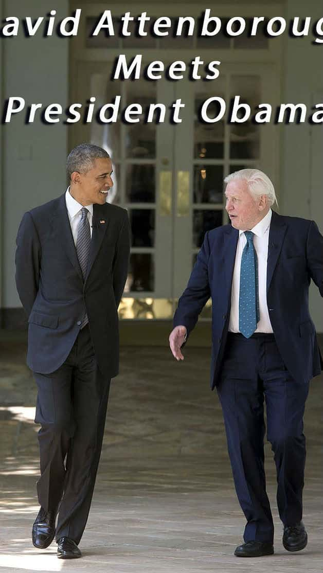 [BBC] Ǳϰ° / When Attenborough Met Obama-Ѹ