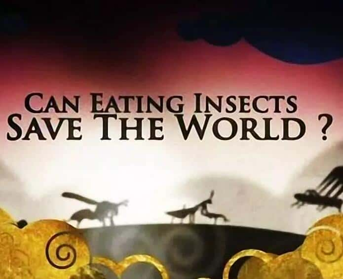 [BBC]  / Can Eating Insects Save the World?-Ѹ