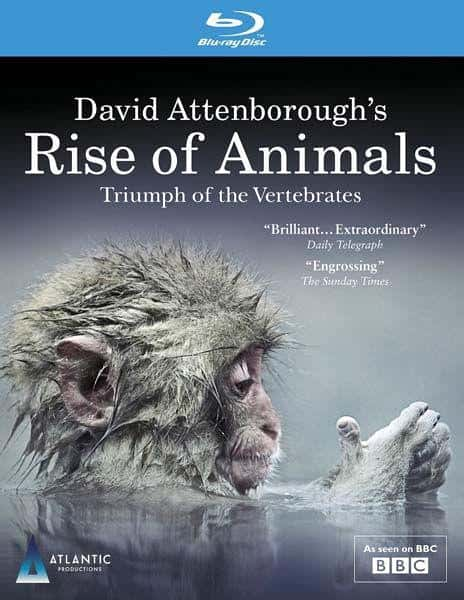 [BBC]  /  David Attenborough's Rise of Animals-Ѹ