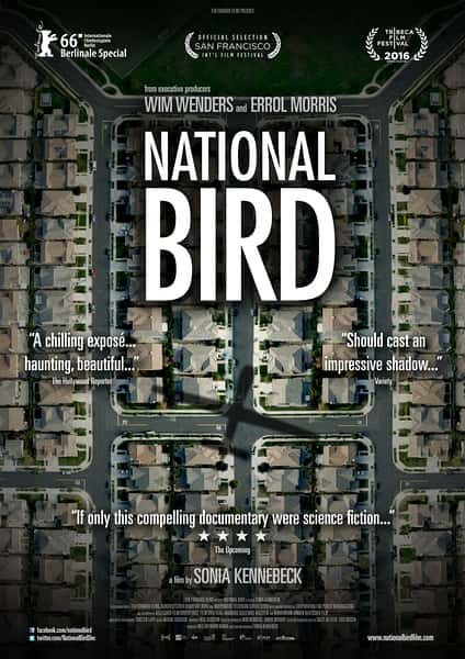 []  / National Bird-Ѹ