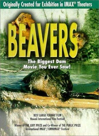 [IMAX]  / Beavers / һ-Ѹ