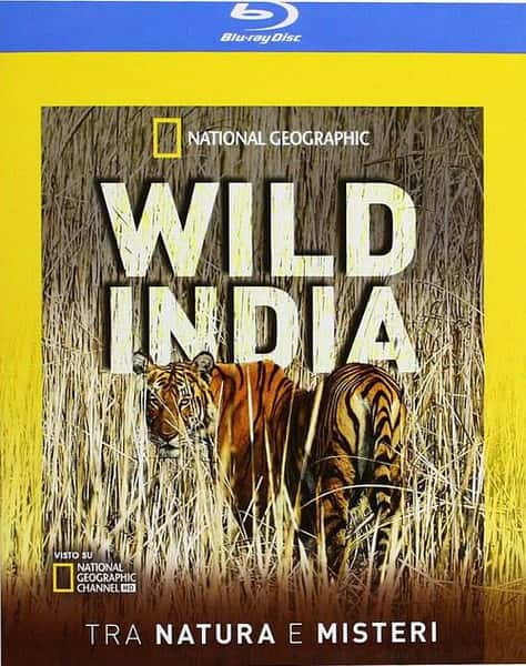 ҵȻ̬¼ƬҰӡȵ Secrets of Wild India ȫ3 720P/1080P¼Ƭٶ-Ѹ