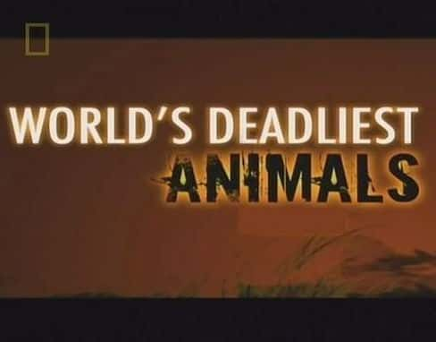 [ҵ] ϵ ȫ / World's Deadliest Animals-Ѹ