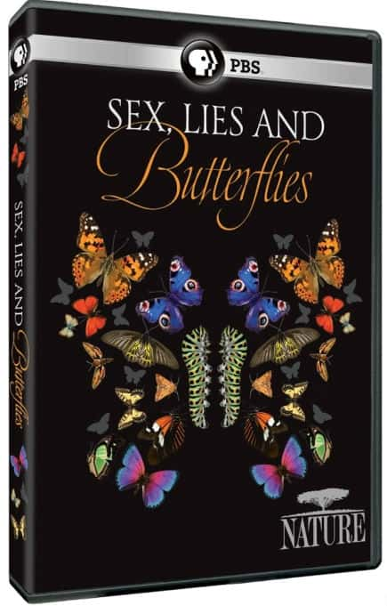 [PBS] Ը Ժͺ / Sex Lies and Butterflies-Ѹ