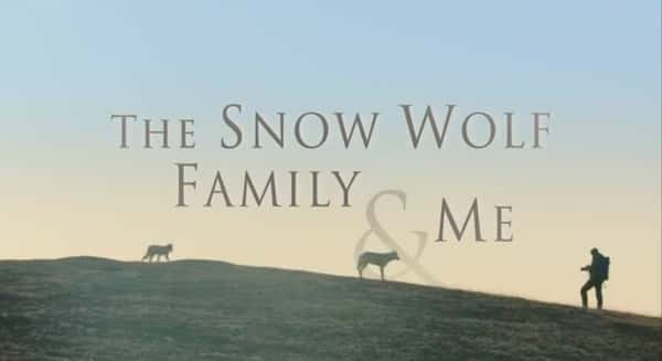 [BBC] ҺѩǼ / Snow Wolf Family and Me-Ѹ