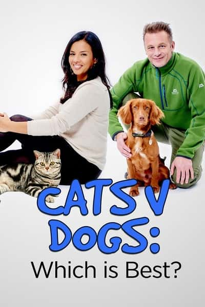 [BBC] ƴ / Cats v Dogs-Ѹ