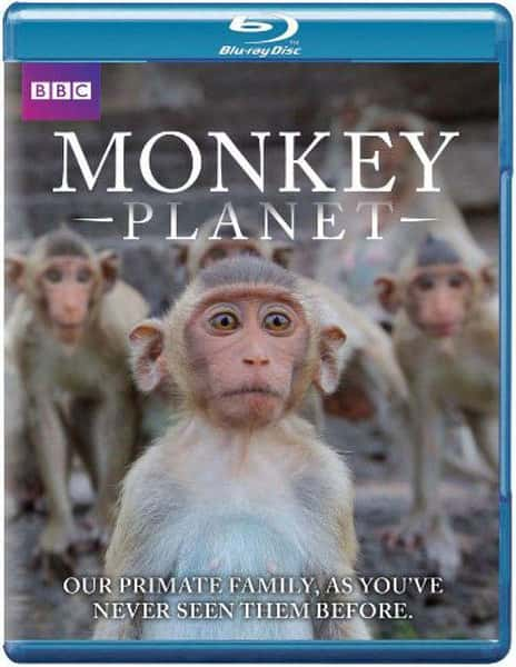 [BBC] Գ һ / Monkey Planet Season 1-Ѹ