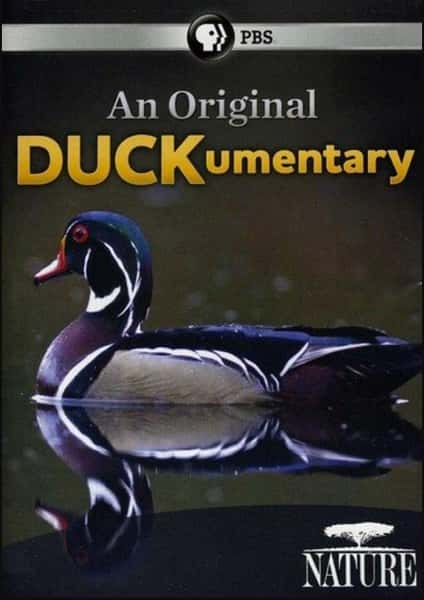 [PBS] ѼѼ / An Original DUCKumentary-Ѹ